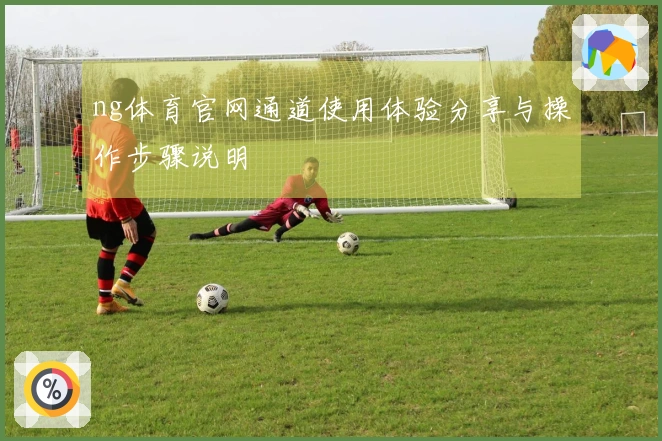 ng体育官网通道使用体验分享与操作步骤说明
