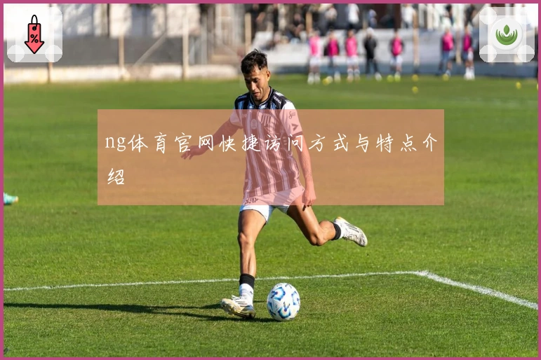 ng体育官网快捷访问方式与特点介绍