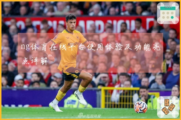 ng体育在线平台使用体验及功能亮点详解