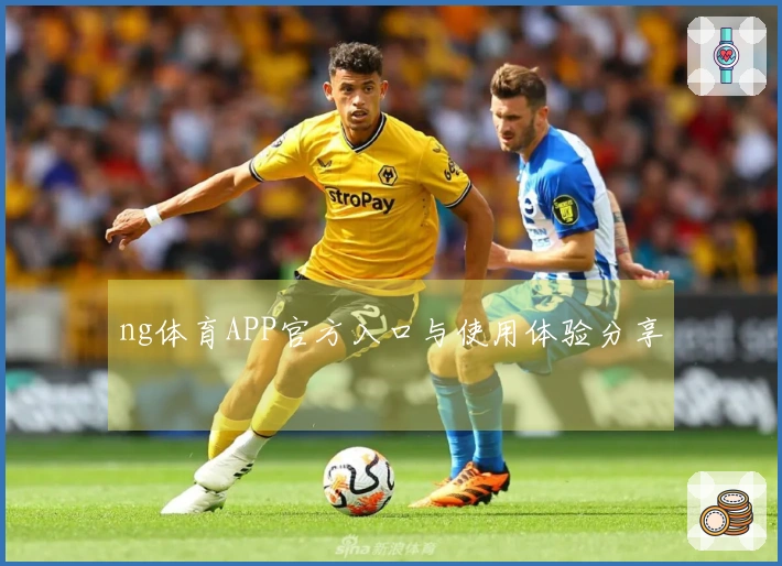ng体育APP官方入口与使用体验分享