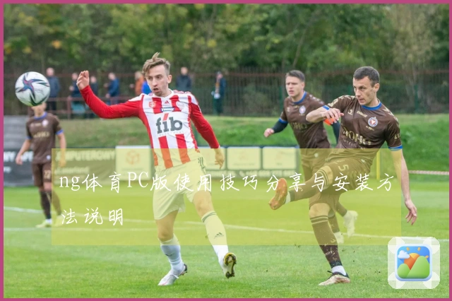 ng体育PC版使用技巧分享与安装方法说明
