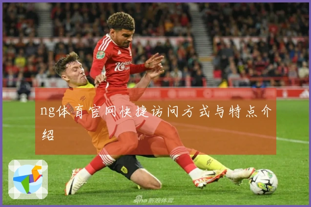 ng体育官网快捷访问方式与特点介绍