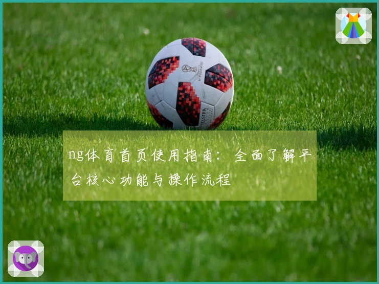 ng体育首页使用指南:全面了解平台核心功能与操作流程
