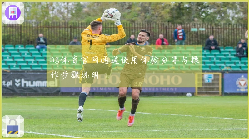 ng体育官网通道使用体验分享与操作步骤说明