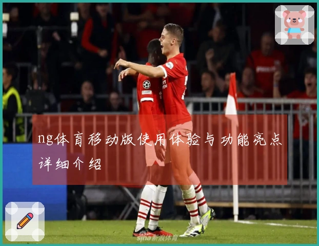 ng体育移动版使用体验与功能亮点详细介绍