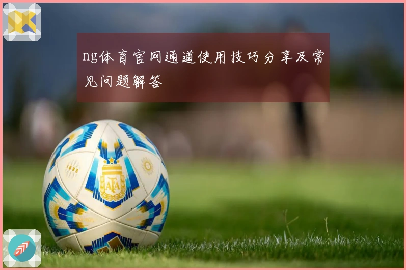 ng体育官网通道使用技巧分享及常见问题解答